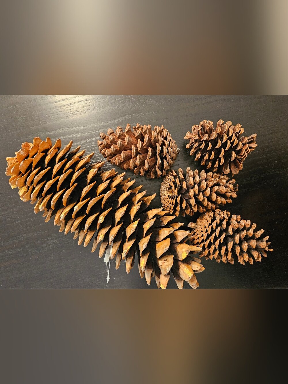 Natural Brown Pine Cone Holiday Decor